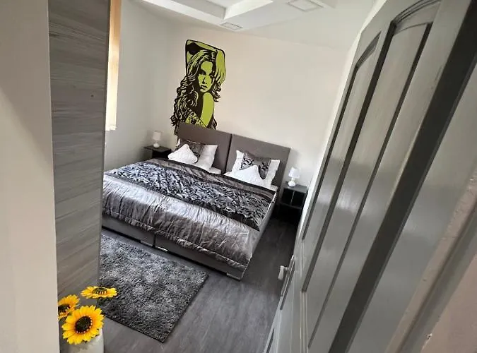 Rena Vendeghaz ナジカニジャ